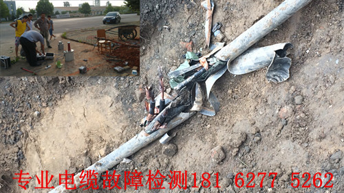 午夜黄色视频免费观看点找到.jpg