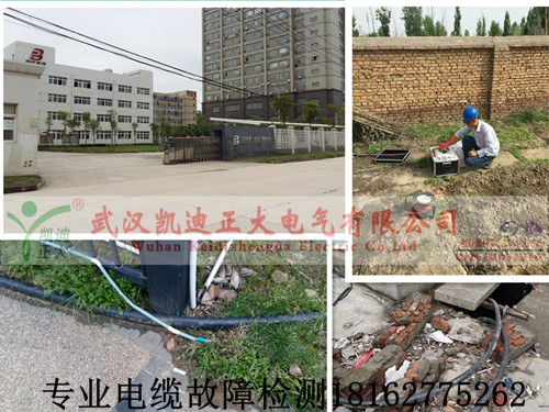专业午夜黄色视频免费观看检测.jpg