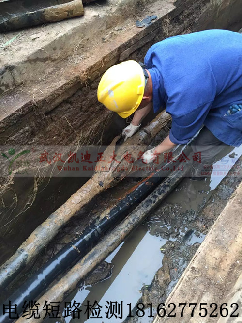 午夜黄色视频免费观看测试.jpg