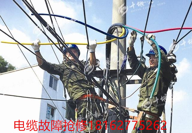 午夜黄色视频免费观看测试.jpg