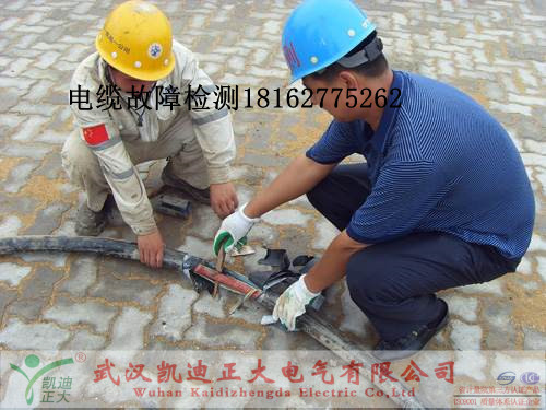 午夜黄色视频免费观看检测.jpg
